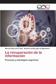 La recuperacin de la informacin, Galn de la Calle Manuel