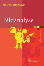 Bildanalyse, Steinmller Johannes