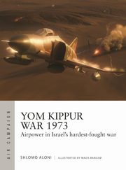 Air Campaign 43 Yom Kippur War 1973, Aloni Shlomo