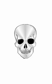 $ir Michael creative skull drawing  Note Book Journal, Huhn Sir Michael