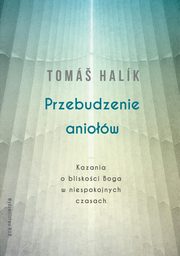 ksiazka tytu: Przebudzenie aniow autor: Halik Tom