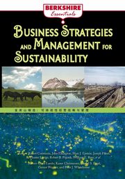 Business Strategies and Management for Sustainability, 