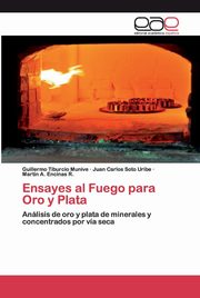 Ensayes al Fuego para Oro y Plata, Tiburcio Munive Guillermo