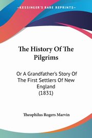 The History Of The Pilgrims, Marvin Theophilus Rogers