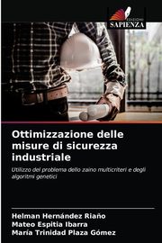 Ottimizzazione delle misure di sicurezza industriale, Hernndez Ria?o Helman