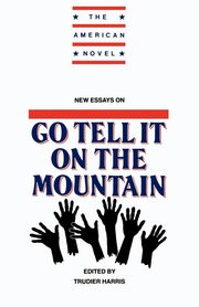 New Essays on Go Tell It on the Mountain, 