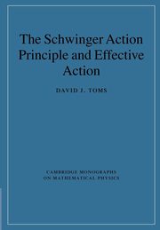 The Schwinger Action Principle and Effective Action, Toms David J.