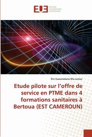 Etude pilote sur l'offre de service en PTME dans 4 formations sanitaires ? Bertoua (EST CAMEROUN), Bila Lamou ric Gueumekane