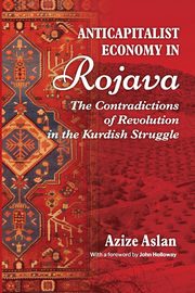 Anti-Capitalist Economy in Rojava, Aslan Azize