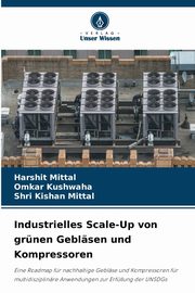 Industrielles Scale-Up von grnen Geblsen und Kompressoren, Mittal Harshit