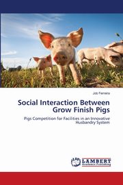 Social Interaction Between Grow Finish Pigs, Ferreira Job