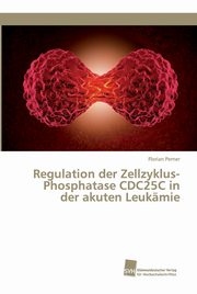 Regulation der Zellzyklus-Phosphatase CDC25C in der akuten Leukmie, Perner Florian