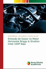 Emiss?o de Gases no Motor Horizontal Briggs & Stratton Intek 10HP Baja, Willemam Daniel