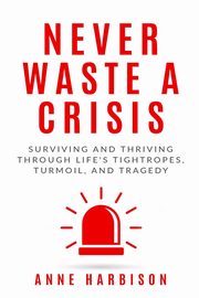 Never Waste a Crisis, Harbison Anne