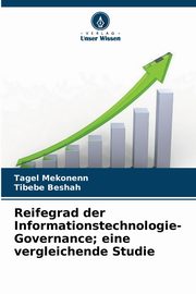Reifegrad der Informationstechnologie-Governance; eine vergleichende Studie, Mekonenn Tagel