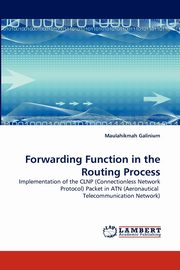 ksiazka tytu: Forwarding Function in the Routing Process autor: Galinium Maulahikmah
