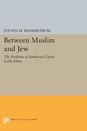 Between Muslim and Jew, Wasserstrom Steven M.