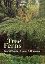 Tree Ferns, Large Mark F.