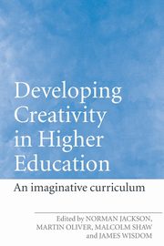 Developing Creativity in Higher Education, 