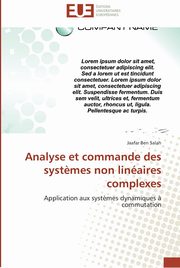 Analyse et commande des syst?mes non linaires complexes, BEN SALAH-J