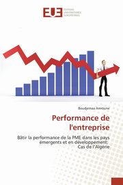 Performance de l'entreprise, AMROUNE-B