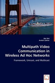 Multipath Video Communication in Wireless Ad Hoc Networks, Wei Wei