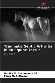 Traumatic Septic Arthritis in an Equine Tarsus, M. Bustamante S Natlia