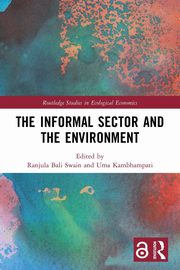 The Informal Sector and the Environment, 
