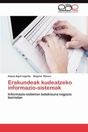 Erakundeak Kudeatzeko Informazio-Sistemak, Aguirregoitia Amaia