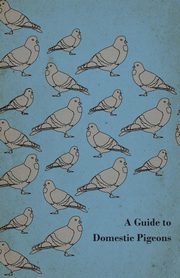 A Guide to Domestic Pigeons - With Chapters on Doves, Training and Their Habits, Anon