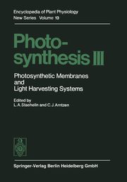 Photosynthesis III, 