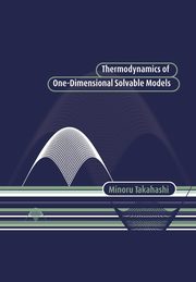 Thermodynamics of One-Dimensional Solvable Models, Takahashi Minoru