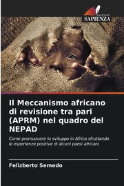Il Meccanismo africano di revisione tra pari (APRM) nel quadro del NEPAD, Semedo Felizberto