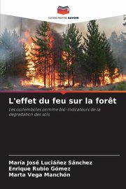 L'effet du feu sur la for?t, Luci?ez Snchez Mara Jos