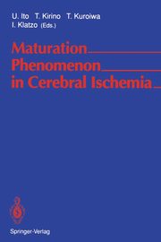 Maturation Phenomenon in Cerebral Ischemia, 