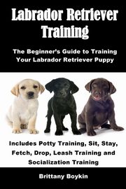 Labrador Retriever Training, Boykin Brittany