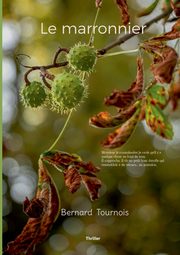 Le marronnier, Tournois Bernard