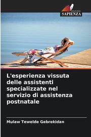 L'esperienza vissuta delle assistenti specializzate nel servizio di assistenza postnatale, Gebrekidan Mulaw Tewelde