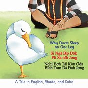 Why Ducks Sleep on One Leg, 