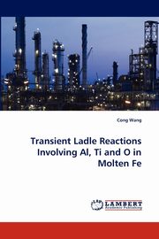 Transient Ladle Reactions Involving Al, Ti and O in Molten Fe, Wang Cong