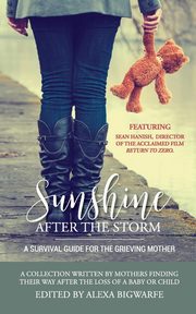 Sunshine After the Storm, Bigwarfe Alexa H