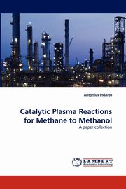 Catalytic Plasma Reactions for Methane to Methanol, Indarto Antonius