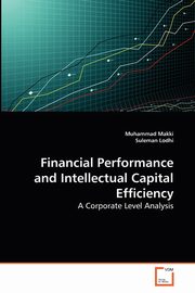 Financial Performance and Intellectual Capital Efficiency, Makki Muhammad