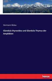 Glandula thyreoidea und Glandula Thymus der Amphibien, Bolau Hermann
