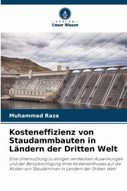 Kosteneffizienz von Staudammbauten in Lndern der Dritten Welt, Raza Muhammad