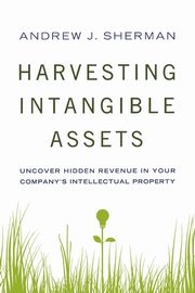 Harvesting Intangible Assets, Sherman Andrew
