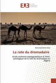 La rate du dromadaire, Fares Mohamed Amine