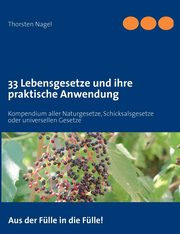 33 Lebensgesetze und ihre praktische Anwendung, Nagel Thorsten