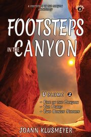 Fire in the Canyon and the Diary, Klusmeyer Joann