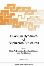 Quantum Dynamics of Submicron Structures, 